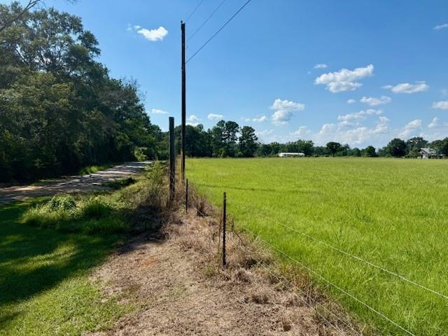 Land for sale in Mount Hermon, Louisiana