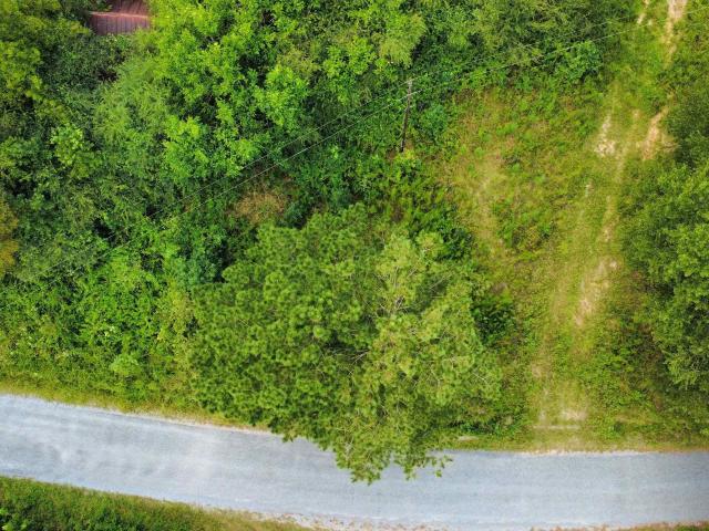 Land for sale in Collinsville, Alabama