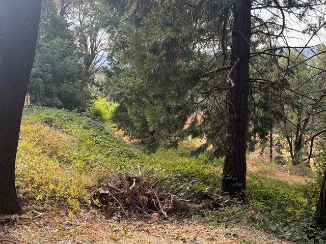 Land for sale in Camino, California