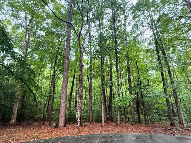 Land for sale in Sanford, North Carolina