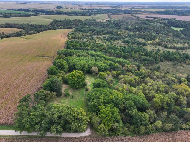 Land for sale in Pilot Mound Township, Fillmore County