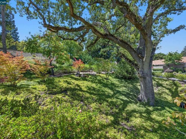 Condo for sale in Walnut Creek, California