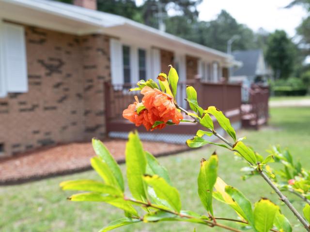 House for sale in Wake, North Carolina
