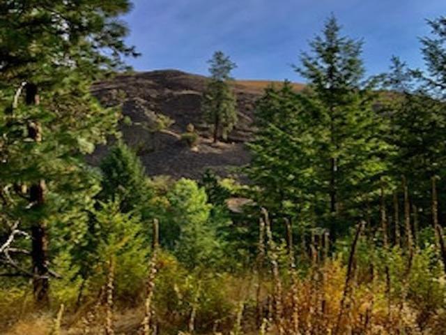 Land for sale in Davenport, Washington