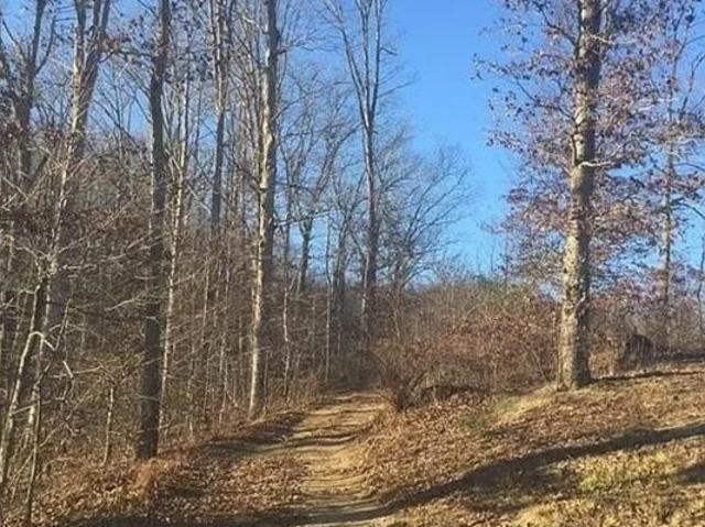 Land for sale in Alkol, West Virginia