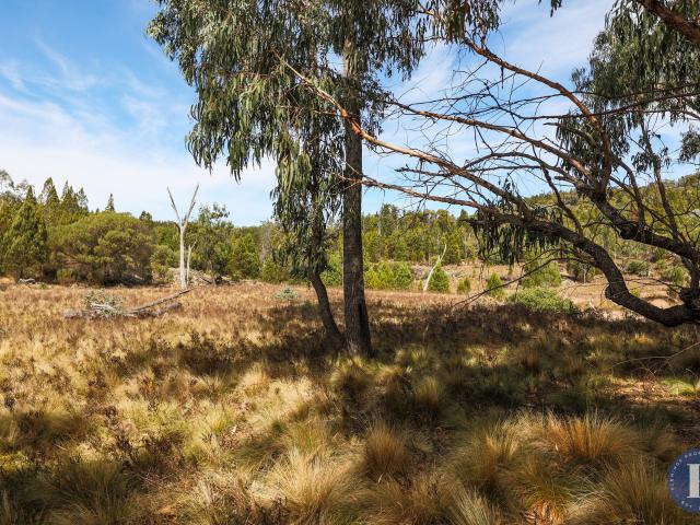 Property for sale in Reids Flat, New South Wales