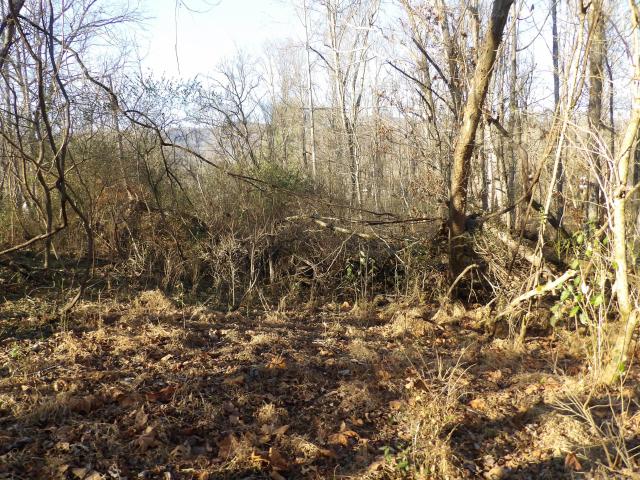 Land for sale in Middlesboro, Kentucky