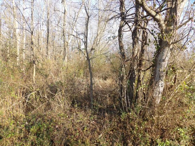 Land for sale in Middlesboro, Kentucky