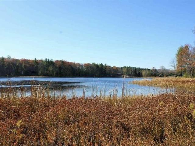 Land for sale in Kalkaska, Michigan