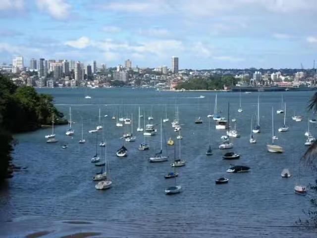 Apartment for rent in Kurraba Point