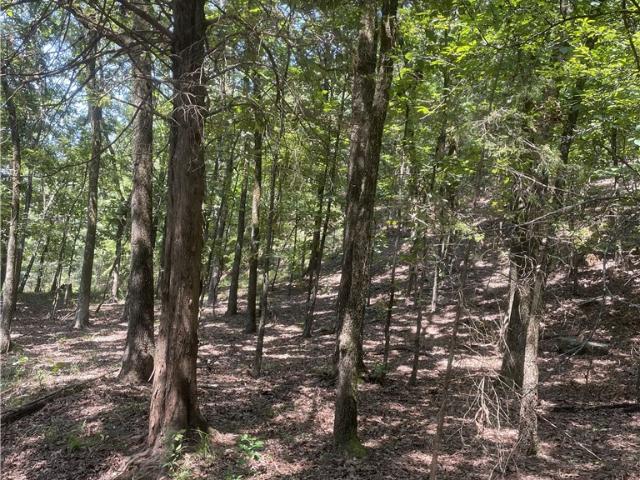 Land for sale in Ark