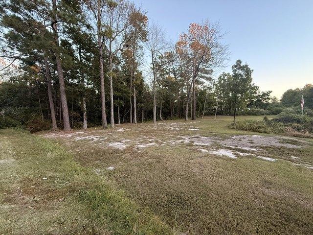 Land for sale in Bonneau, Berkeley County