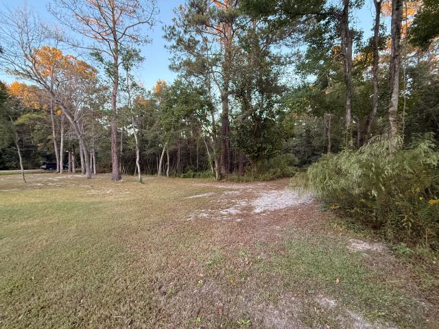 Land for sale in Bonneau, Berkeley County