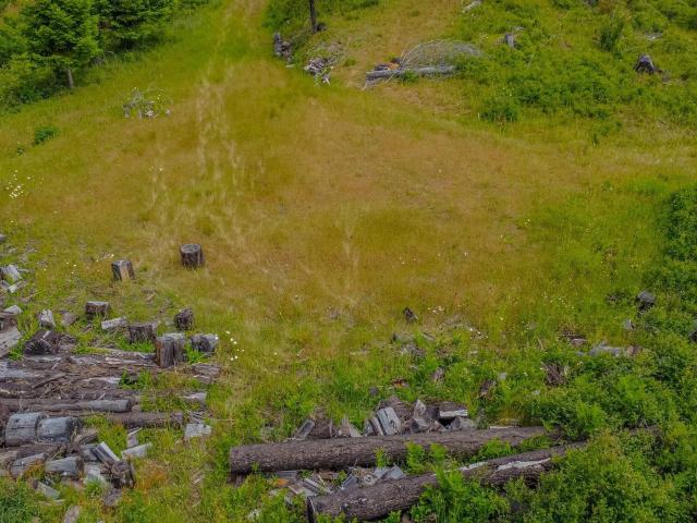 Land for sale in Weippe, Idaho