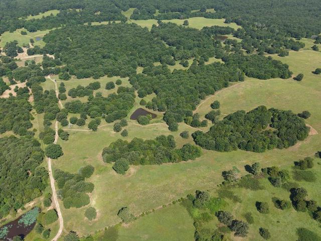 Land for sale in Ark