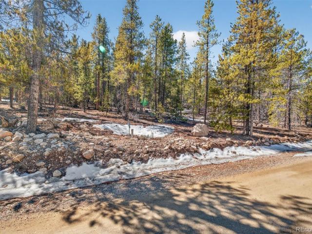 Land for sale in Twin Lakes, Colorado
