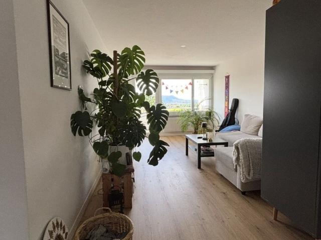 Apartment mieten in Bolligen, Bern