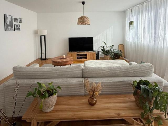 Apartment mieten in Ingenbohl, Schwyz