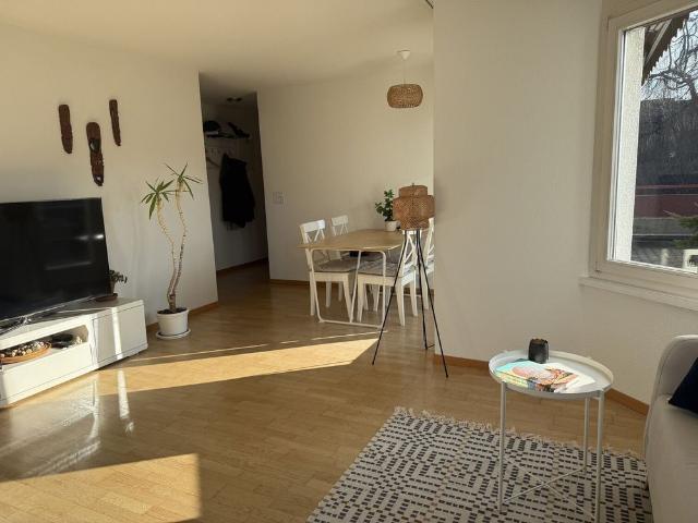 Apartment mieten in Einigen, Zürich