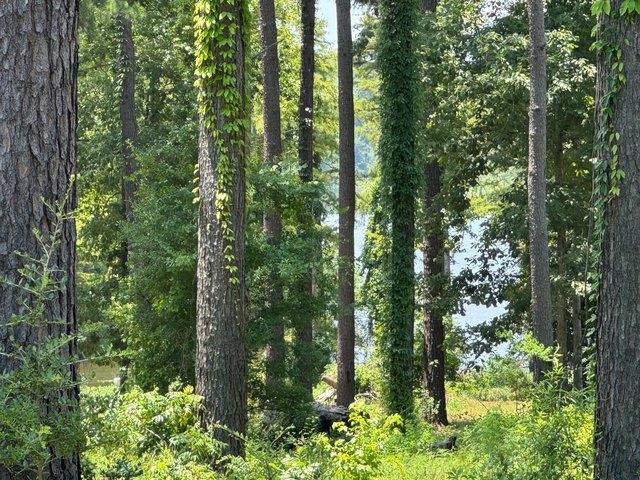 Land for sale in Sabine, Texas