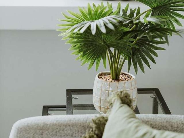 Apartment for rent in Hamilton, Waikato