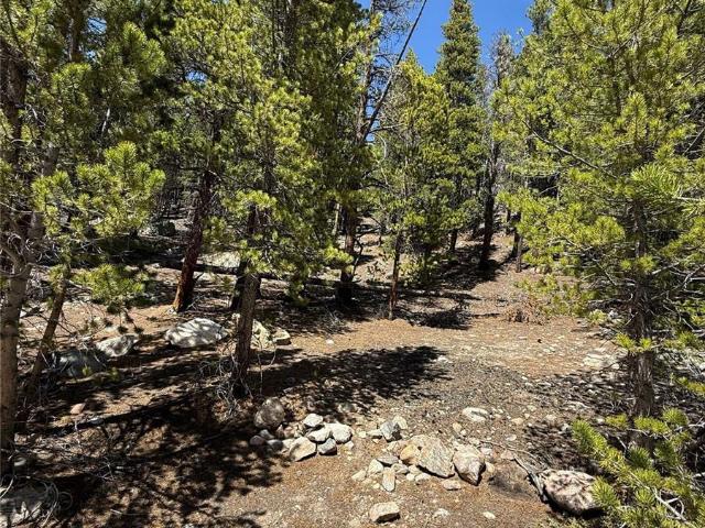 Land for sale in Clear Creek, Colorado