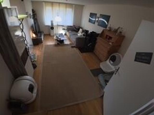 Apartment mieten in Einigen, Zürich