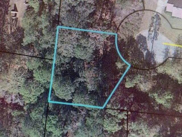Land for sale in Montezuma, Georgia