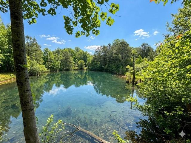 Land for sale in Ashley Acres, Hiram