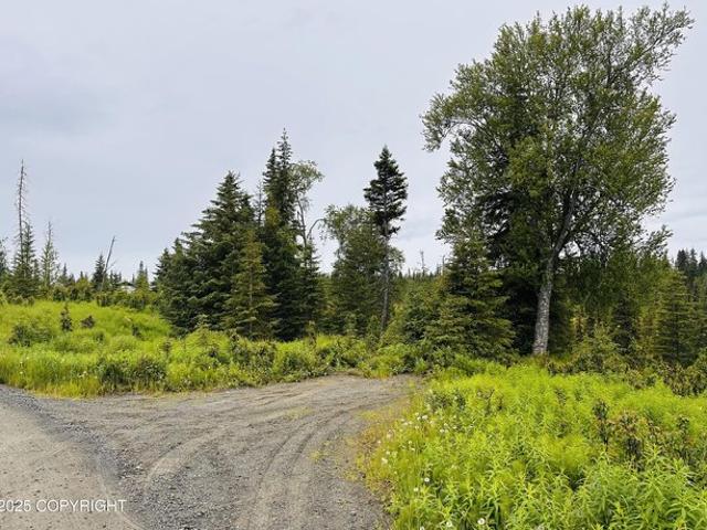 Land for sale in Anchor Point, Alaska