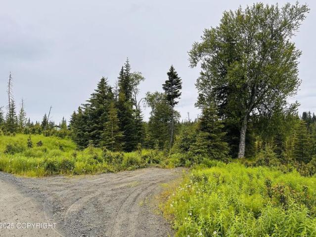 Land for sale in Anchor Point