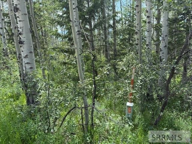 Land for sale in Victor, Idaho