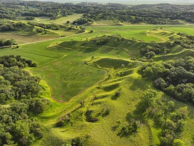 Farm for sale in Moorhead, Iowa