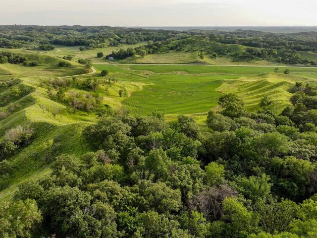 Farm for sale in Moorhead, Iowa