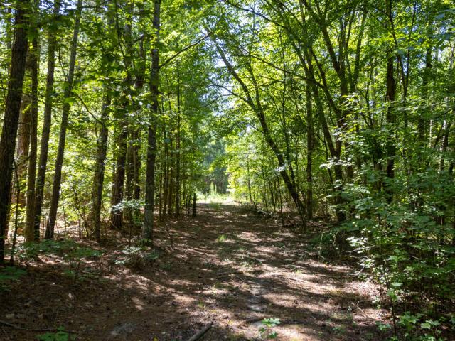 Land for sale in Granville, North Carolina