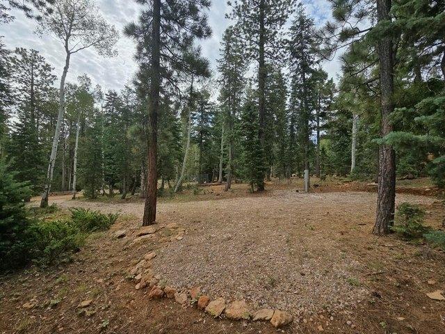 Land for sale in Duck Creek Village, Utah