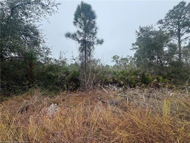 House for rent in Lake Placid, Florida