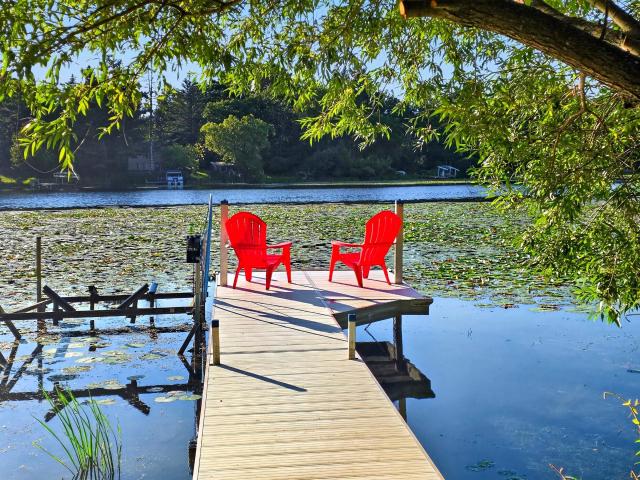 House for sale in Pine River, Minnesota