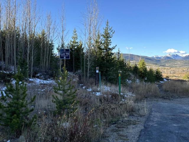 Land for sale in Fraser, Colorado