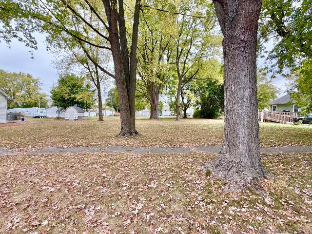 Land for sale in Forrest, Illinois