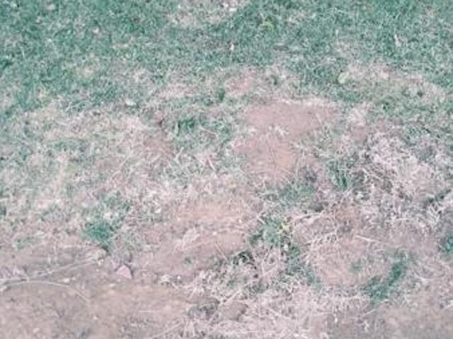 Land for sale in Gert Sibande, Mpumalanga