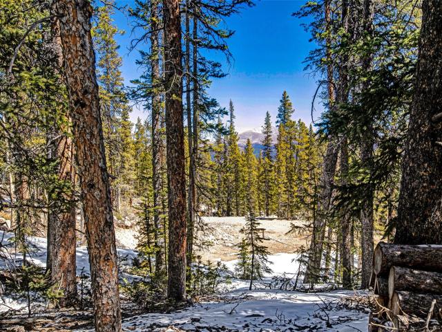 Land for sale in Fairplay, Colorado