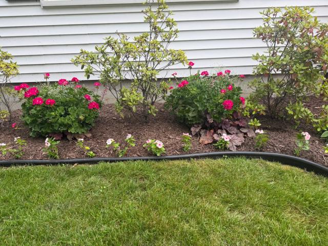 House for sale in Whiteside, Illinois