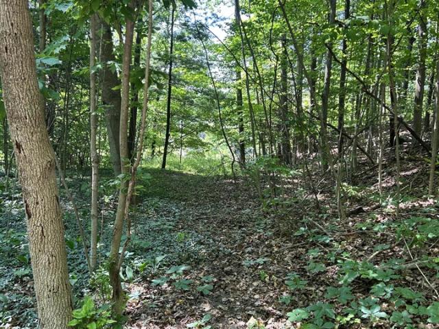 Land for sale in Big Rapids, Michigan