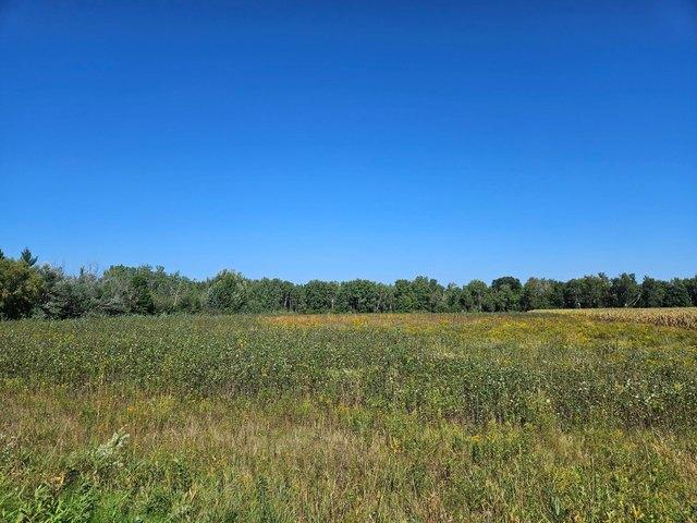 Land for sale in Princeton, Minnesota