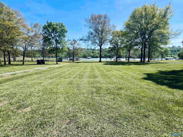 House for sale in Cedar Bluff, Alabama