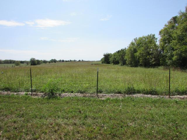 Land for sale in Republic, Greene County