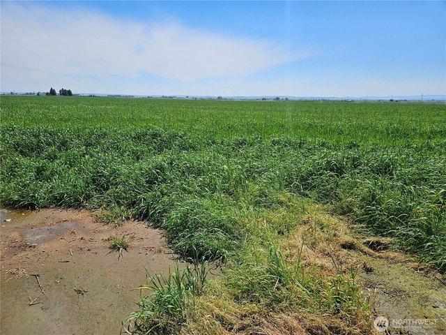 Farm for sale in Quincy, Washington