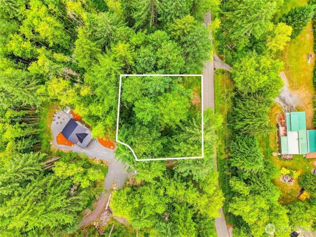 Land for sale in Ashford, Washington