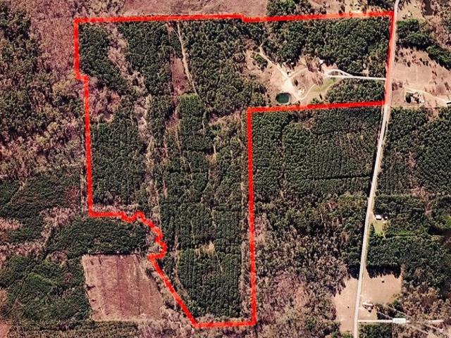 Land for sale in Shelby, Texas